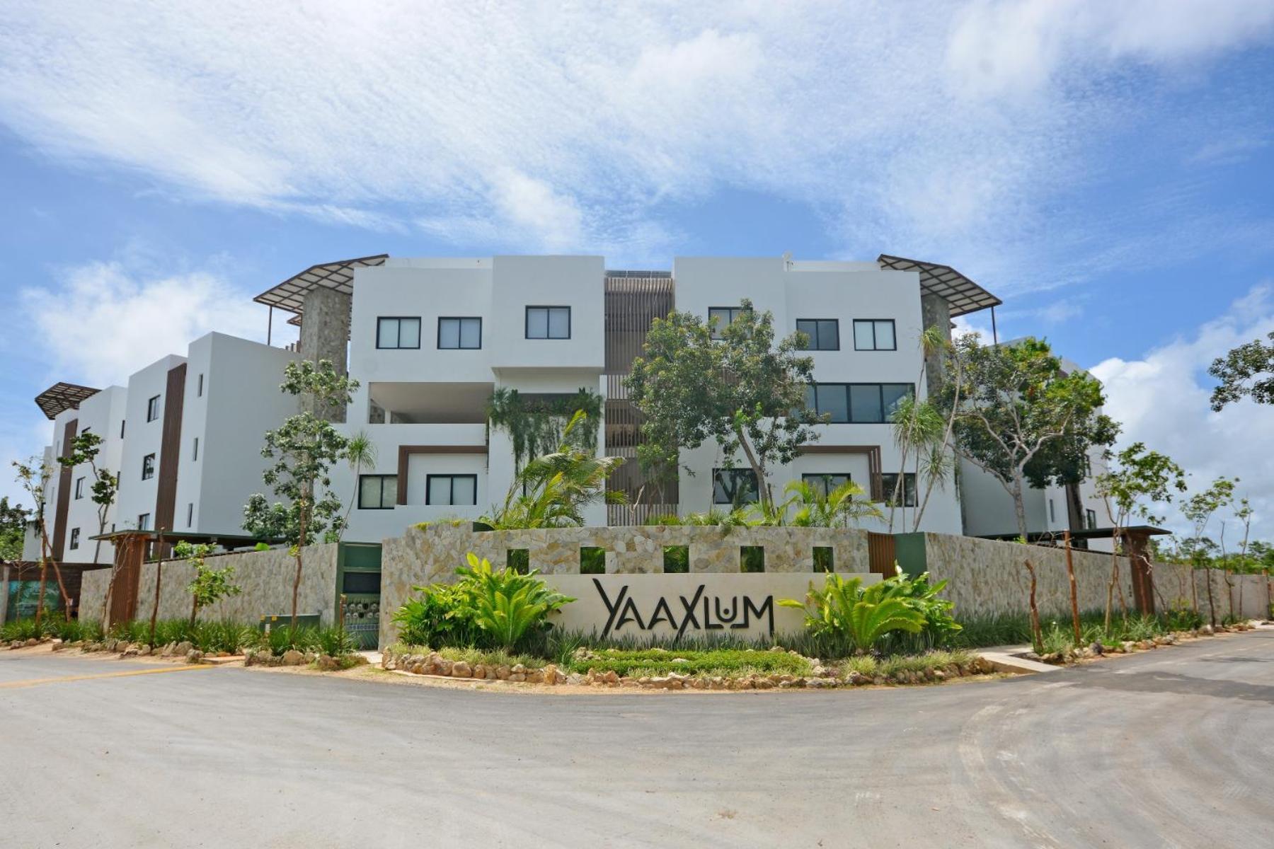 Oasis Yaaxlum *