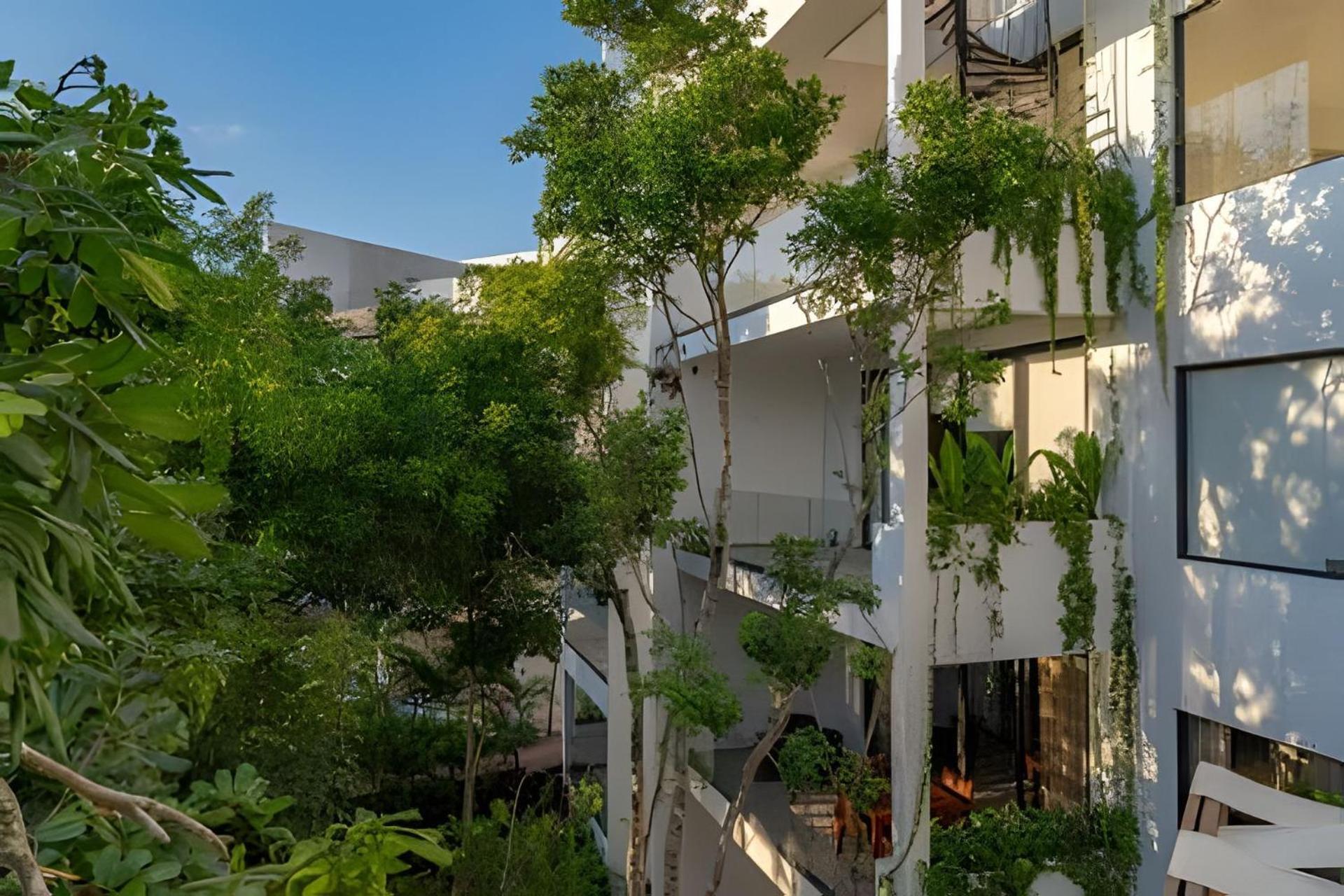 Oasis Yaaxlum * Tulum