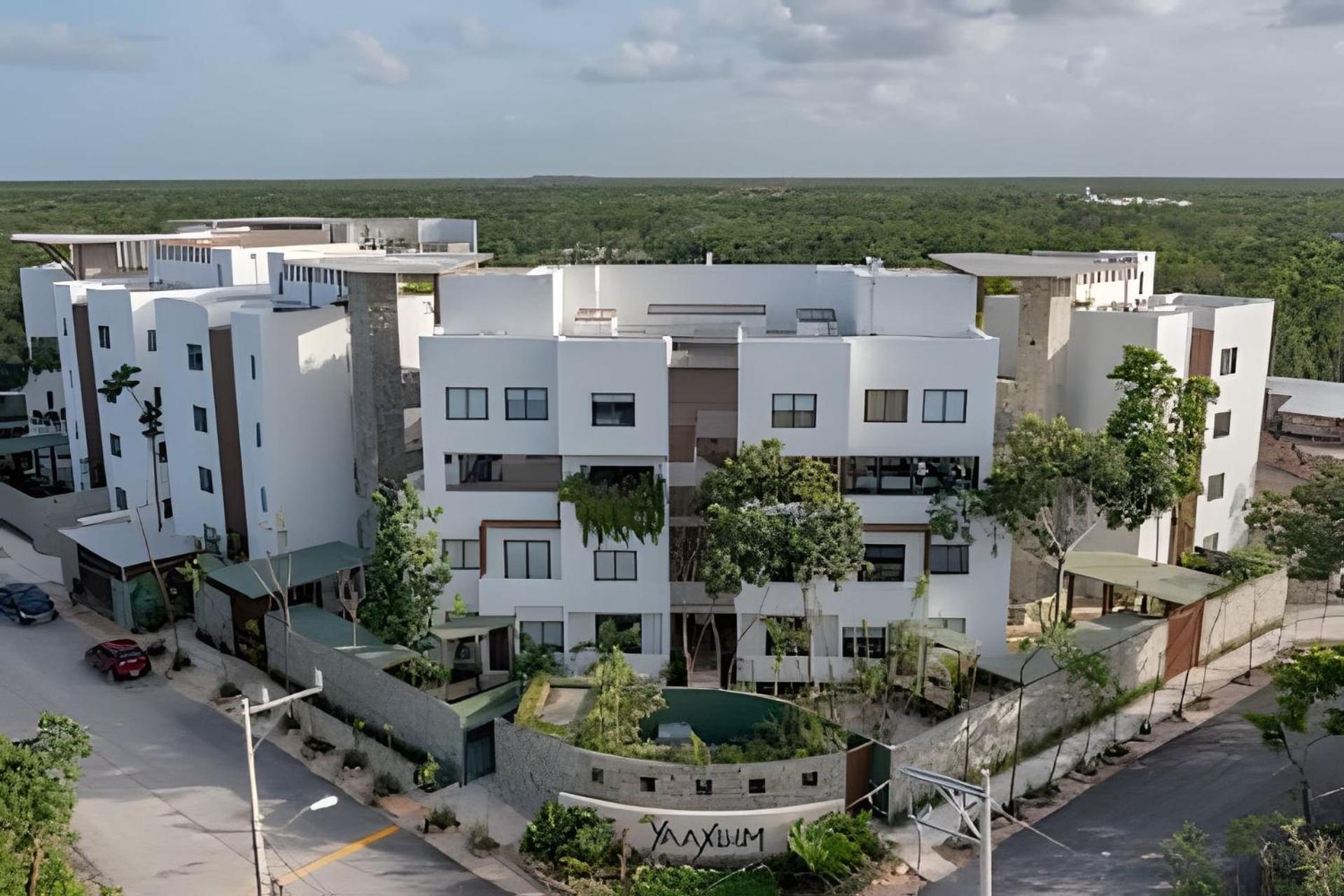 Oasis Yaaxlum Tulum